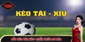 Bắt kèo tài xỉu